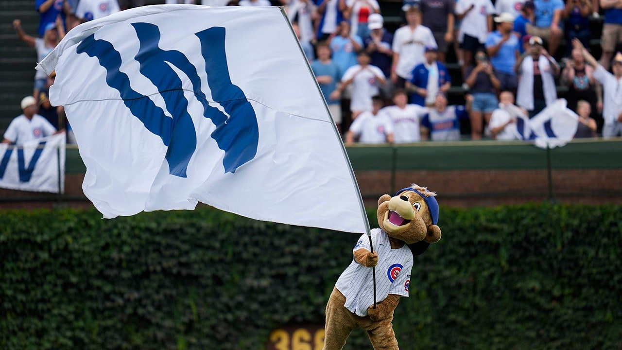 Baseball fan goes viral during Cubs win for working on his laptop