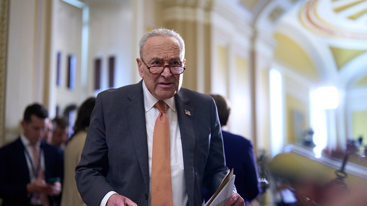 Schumer threatens to sue Trump administration over Epstein files deadline